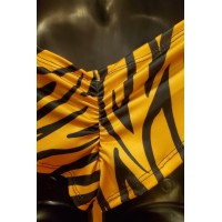 2 piece set Dancewear Tiger pattern Bando Top w/micro Booty Short, One Size