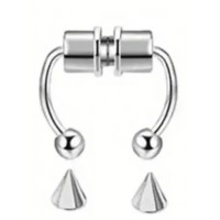 Magnetic Nipple Rings Set, w/2 interchangeable ends, SILVER